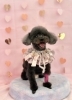 ナッツちゃん「ピンクバレンタイン💕」