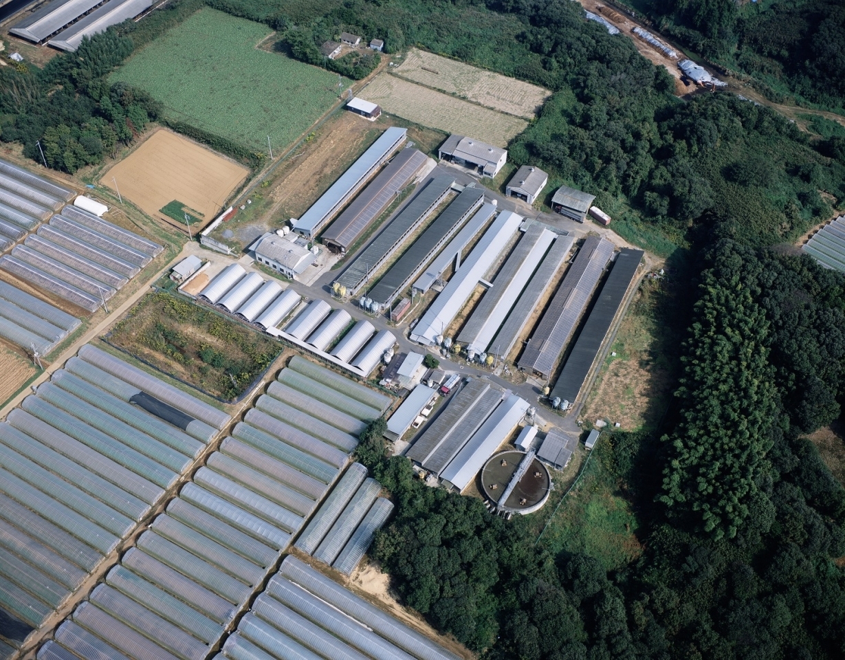 行方市のブランド豚 美明豚 びめいとん の美味しさの秘密 行方レシピコンテスト 茨城県行方市産の食材でおいしいレシピを なめがた日和 行方市 行方市のブランド豚 美明豚 びめいとん の美味しさの秘密 行方レシピコンテスト 茨城県行方市産の食材でおいしいレシピを なめがた日和 行方市