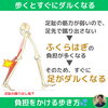 「歩くとすぐに足がダルくなる理由【外反母趾や巻き爪、足の悩み専門整体/千葉県船橋市西船徒歩2分】」