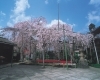 千手院