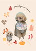「Dog salon mofu mofu　余市町」
