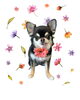 「Dog salon mofu mofu　余市町」