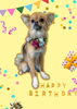「Dog salon mofu mofu　余市町」