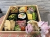 様々なシーンで利用できるとっておき「春のお花見や歓送迎の集まりに「春のお花見弁当」をどうぞ」