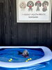 あっちへ　スイスイ🏊‍♀️「ましゅまろプールDAY🏊‍♀️」