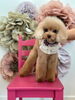 ティアラちゃん「L’arrivée de l’automne」