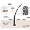 「2月22日土曜日午前中ご案内可能です」