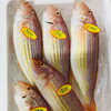 「魚魚市場鮮魚コーナーおすすめは「シビマグロ・アマダイ」です♪」