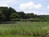 水道秋聖　「千野の池」 千葉県野田市太陽光発電所 | winfield japan