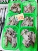 「魚魚市場鮮魚コーナーおすすめは「ヤリイカ・赤カマス」です♪」