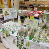 「農産物直売所『朴の葉』が入荷する事も！※季節限定」