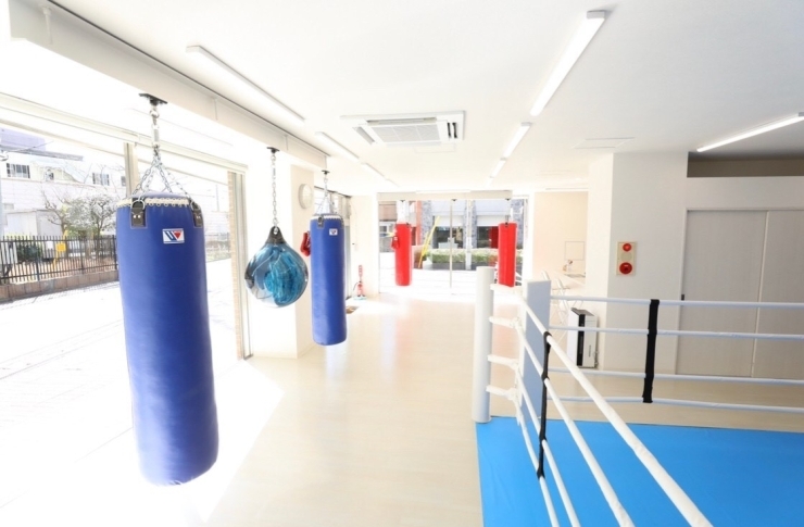 Boxing Studio 1020