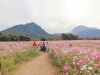 一面にひろがりすごくきれいでした！「しまばら火張山」