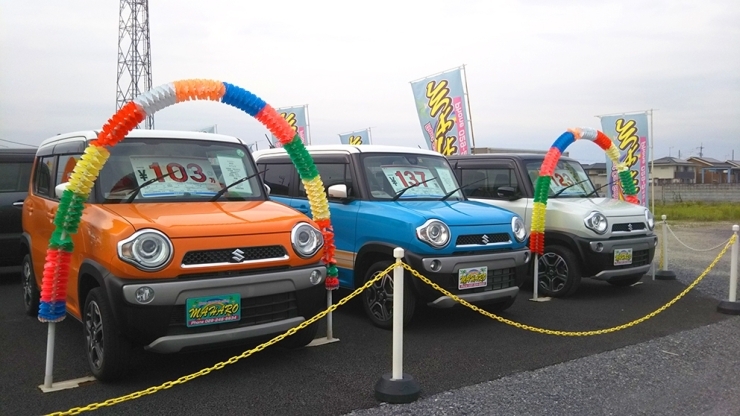 ご成約多数！気になる車はお早めにお問合せください！「～覚悟の時～というドキュメンタリー番組に代表が取り上げられました！【水戸市の中古車販売 (株)マハロも一緒に営業中★】くるみ代行です♪」