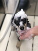 てへっ。（≧∇≦）「はじめまして　^ - ^」