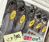 「魚魚市場鮮魚コーナーおすすめは「北海道産ホタテ」です♪」