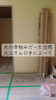 大工さんの想いが詰まった空間「庄原市東城町・K様邸｜壁ボード完成＆ウォークイン収納棚が入りました」