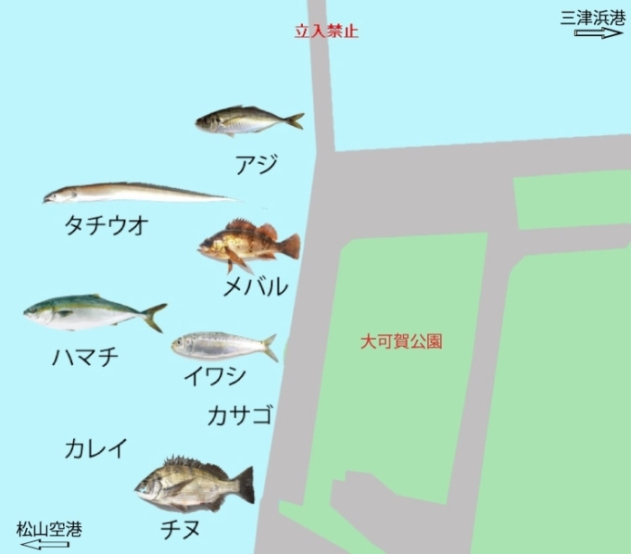 愛媛県中予地域 海 川 おすすめ 釣り場情報の紹介 アウトドアを楽しもう まいぷれ 松山 伊予 東温 松前 砥部 愛媛県中予地域 海 川 おすすめ 釣り場情報の紹介 アウトドアを楽しもう まいぷれ 松山 伊予 東温 松前 砥部