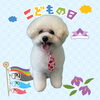 「Dog salon mofu mofu　余市町」