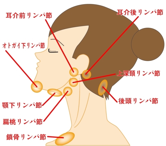 「お正月休みで緩んだ身体、引き締めませんか！？」