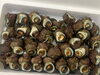 「本日鮮魚入荷いたしました。(7月27日貝🦪フェスティバル決定致しました)」