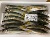「本日岩牡蠣の入荷は御座いません。」