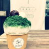 抹茶金時「国産果実と淡雪氷『氷茶屋四ノ六』open」
