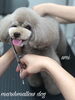「秋のオプションキャンペーン　（╹◡╹）」