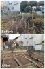 伐採と除草作業をしました「川西市水明台で庭木の伐採や除草をしました！」