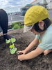 「枝豆　できるといいな♡」