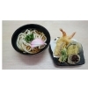 天ぷらうどん