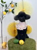 ジョニーくん「わんことレモン🍋」