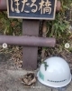 「「森林ボランティア養成講座」に参加しました。【長岡美装社】」
