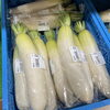 「冬至『ん』の付く食べ物を集めました！道の駅木曽福島」