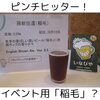 房総往還「10月26日(土)はフレスポ稲毛出店！（いなびや、稲毛のクラフトビール醸造所）」