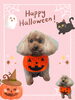 「Dog salon mofu mofu　余市町」