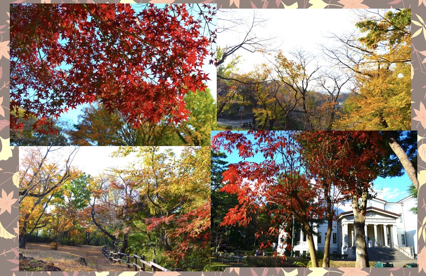 港北区の紅葉スポット特集 まいぷれ 横浜市港北区 港北区の紅葉スポット特集 まいぷれ 横浜市港北区