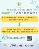 「未病ケアは「食事だけじゃない」4つの柱で生活全体を整えましょう」