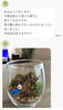 LINEで簡単相談「苔が茶色くなった…もう枯れた？ 捨てる前に確認してほしいこと【あまがさきキューズモール】」