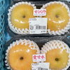 「南信州より梨農家こだわりのジューシーな梨が入荷しはじめました！」