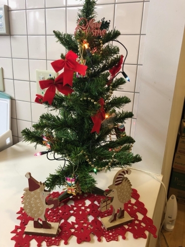 クリスマスツリー「天王崎交流センターコテラス・クリスマスツリー飾りました～(*'▽')♫」