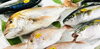 「魚魚市場鮮魚コーナーおすすめは「伊勢エビ・ヒオウギ貝」です♪」