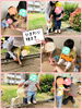 ひまわりの種をまきました♡「ひまわりの種まきをしました(*^^*)【交野市・小規模保育園】」