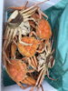 セコがに🦀食べ納めにいかがでしょうか✨「年末年始の食卓を彩る最高級の蟹！セコがにの食べ納めと茹で蟹発送のご案内」