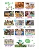 「5月3日～5日「新茶まつり」開催！出店者＆会場のご案内」