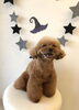 Smile「Ｈappy　Halloween ^o^」
