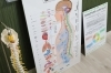 草津市・南草津で健康改善ならカイロシガ整体院へ！「滋賀県草津市で悪玉コレステロールを減らす方法｜健康的な7つの生活習慣」
