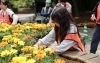 一生懸命植えています「🍊 街ぐるみでおもてなし－その⑧　みんなで作るオレンジ花壇　編－」
