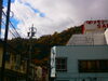 有田屋旅館の裏から見上げる善光寺大本願別院「🍁紅葉の様子Vol.3🍁【戸倉上山田温泉　有田屋旅館　長野県　紅葉旅】」
