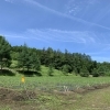 特別号　薮川とうもろこし栽培体験記2022＜岩手県盛岡市＞